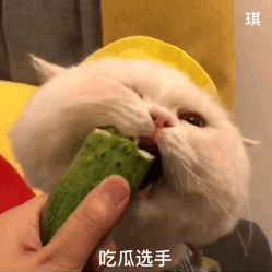 围观吃瓜表情包图片精选最新微信吃瓜表情图片大全