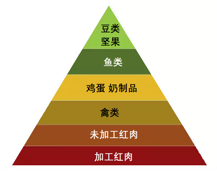 国际血脂专家组提出的蛋白来源金字塔