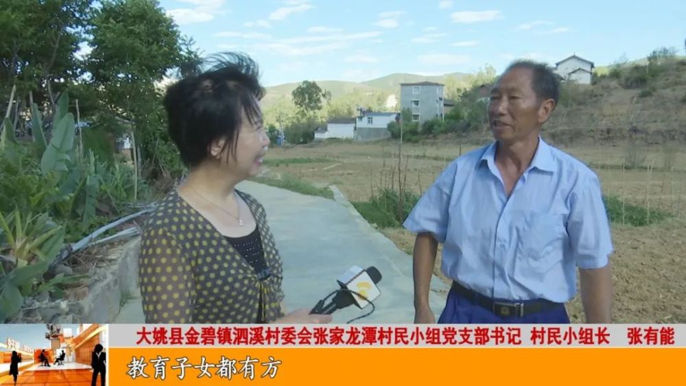 大姚县金碧镇泗溪村委会张家龙潭村民小组党支部书记,村民小组长  张
