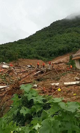 黄梅各乡镇人口_黄梅时节家家雨图片(2)