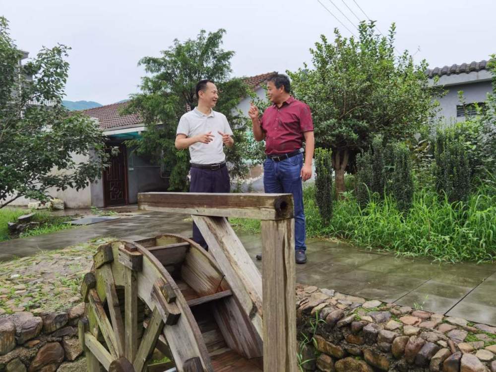 宁波税务农指员13年接力帮扶,余姚汪巷村成"网红村"