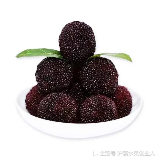 黑炭杨梅图片实拍,大果新鲜水果