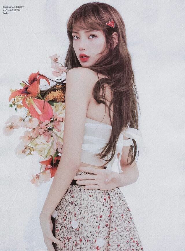 ( lisa)