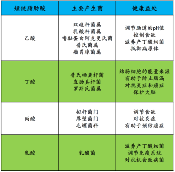 丙酸和丁酸)以及乳酸(严格来讲,乳酸不是短链脂肪酸,但是也是由肠道