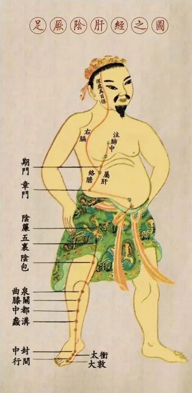腿部有六条经络经过,通过"粗腿"的不同部位,可以观察是哪条经络的