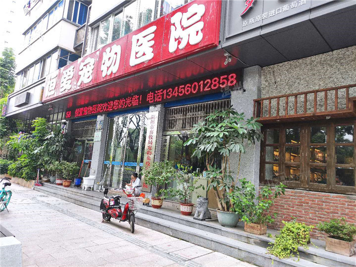 温州“养犬条例”已实施，为何宠物医院还不能核发准养证？