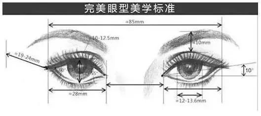 一张漂亮的脸绝对少不了一双美丽的大眼萌！