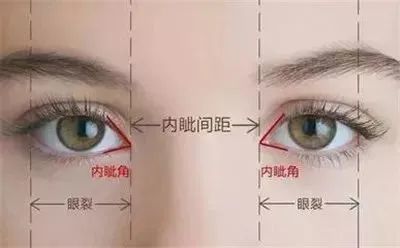 一张漂亮的脸绝对少不了一双美丽的大眼萌！