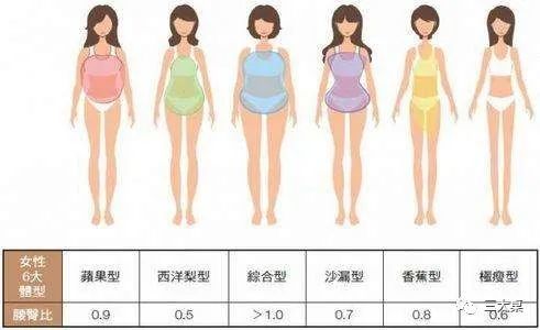 4.以数据比例分类,女性体型分为六种