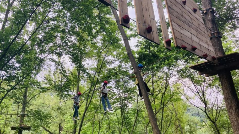 下面跟随小编一起了解 琅琊山飞越丛林探险乐园 都有哪些亮点 飞越