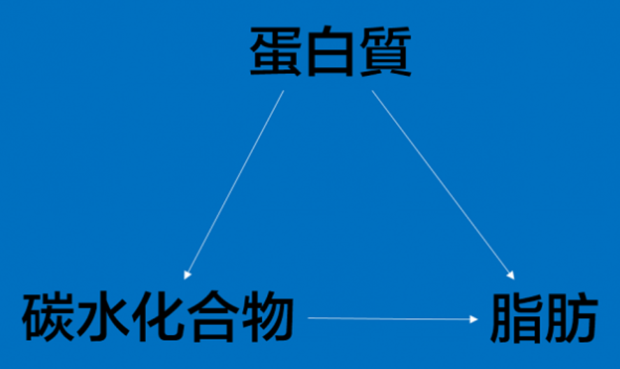 停止运动后多久会增加1kg体重？