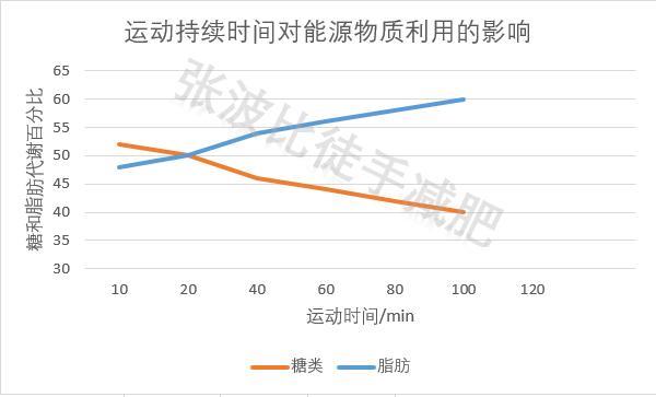 运动强度对能源物质利用的影响