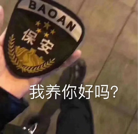 表情包:对不起 其实我是一名保安保宁一生平安
