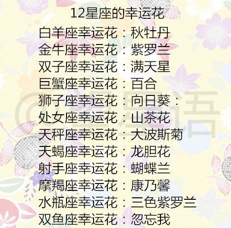 12星座你有多少"剩女"隐患?12星座的幸运花