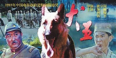 1993年,功勋军犬拍摄《犬王》被炸粉身碎骨,导演却:太