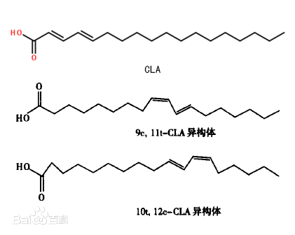 最近两年名声大噪的减脂补剂――共轭亚油酸