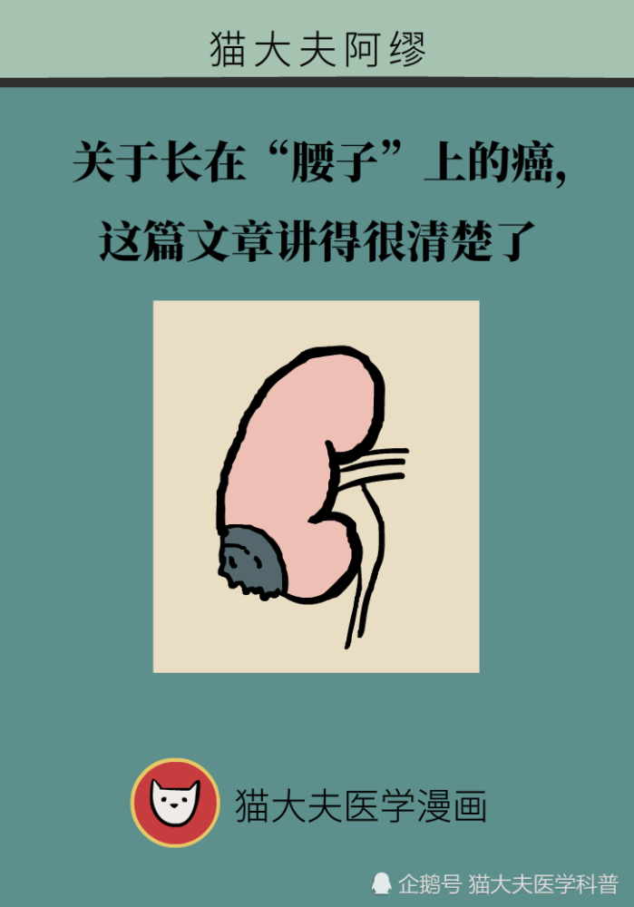 关于长在“腰子”上的癌，带你一文了解肾癌这名“沉默杀手”