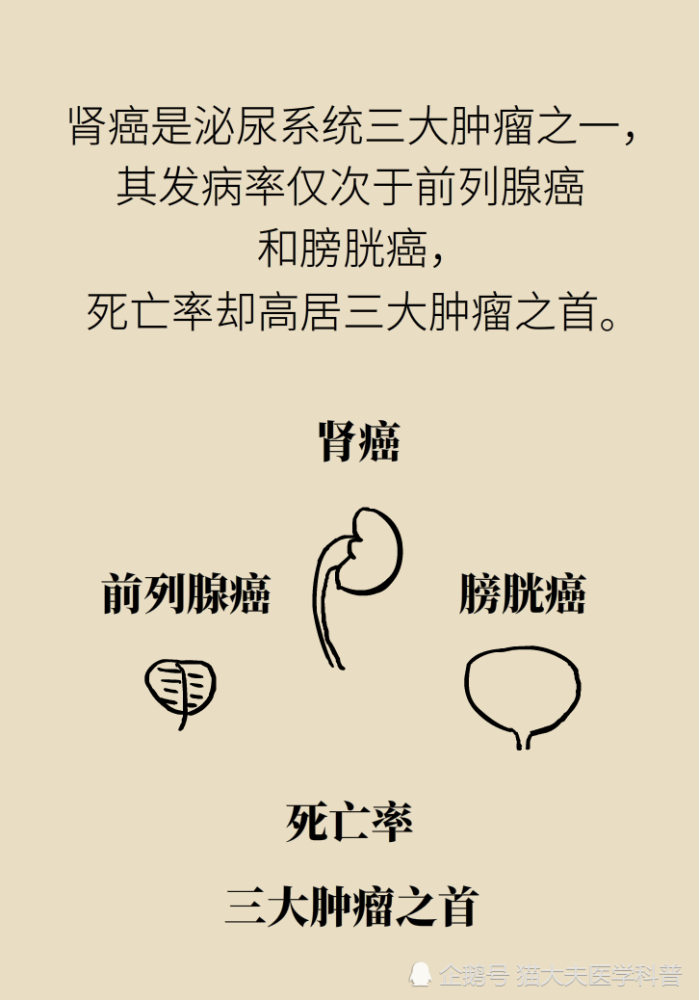 关于长在“腰子”上的癌，带你一文了解肾癌这名“沉默杀手”