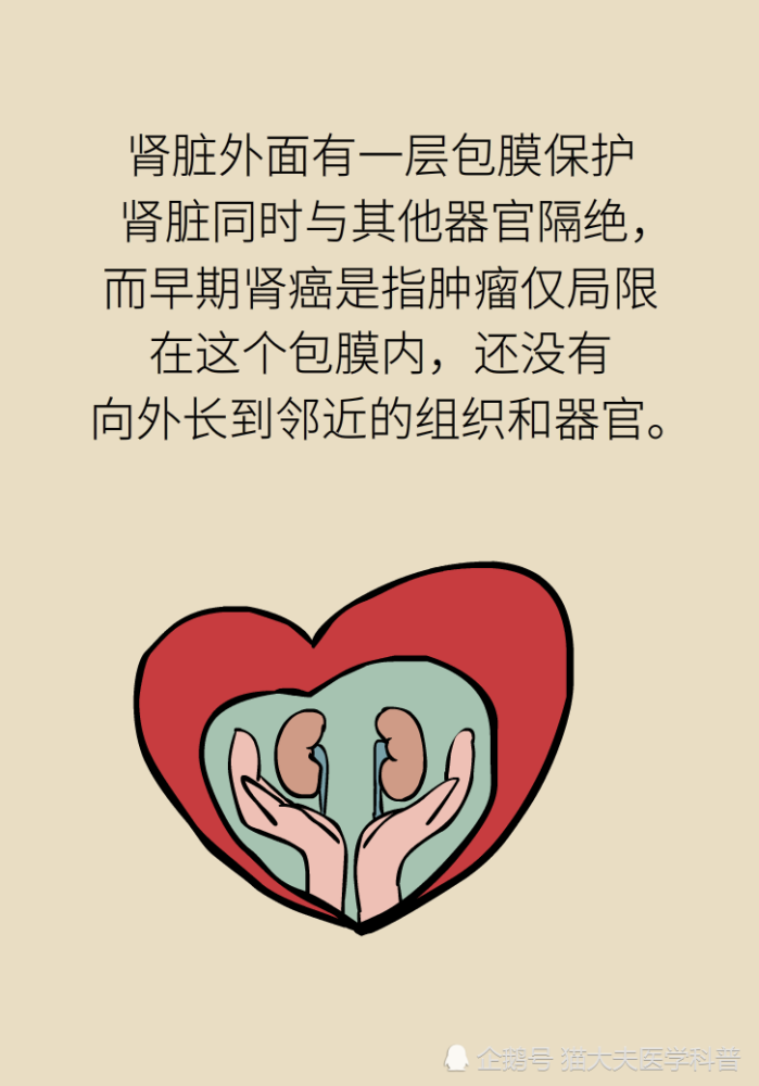 关于长在“腰子”上的癌，带你一文了解肾癌这名“沉默杀手”