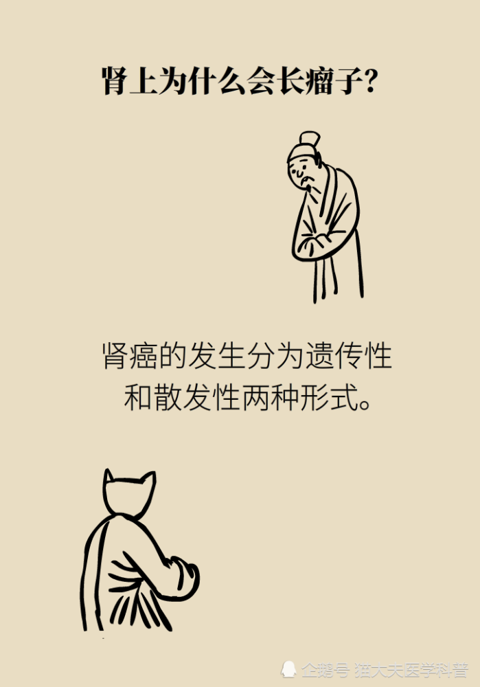 关于长在“腰子”上的癌，带你一文了解肾癌这名“沉默杀手”