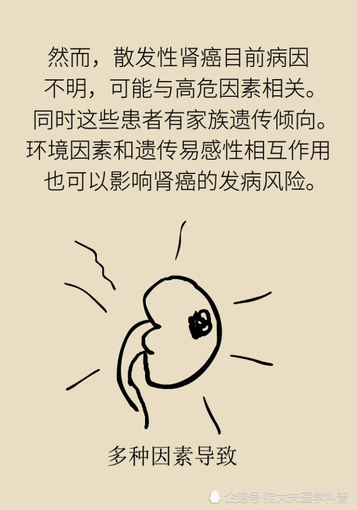 关于长在“腰子”上的癌，带你一文了解肾癌这名“沉默杀手”