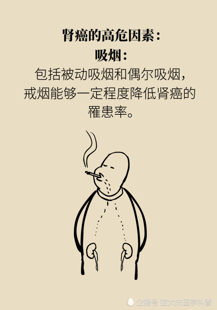 关于长在“腰子”上的癌，带你一文了解肾癌这名“沉默杀手”
