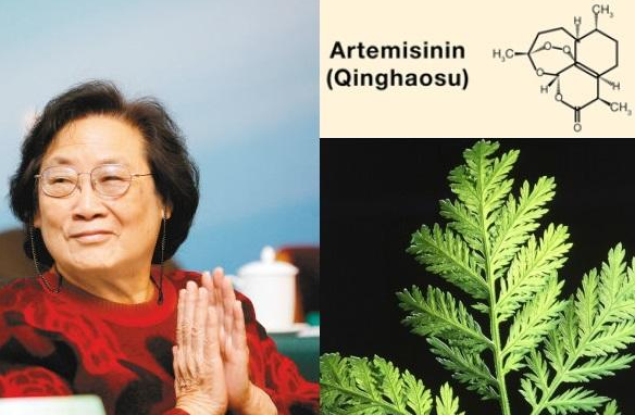 了不起的中医药！青蒿素研究再突破，有望成为抗癌、降血脂新药