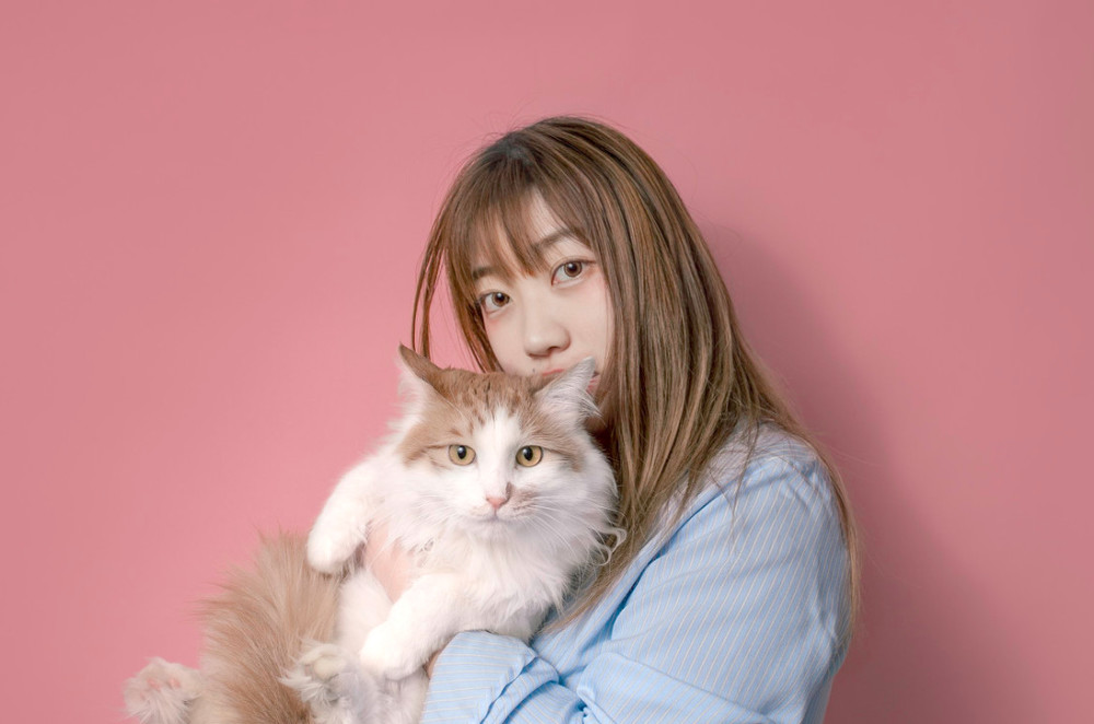 如何正确的抱猫咪