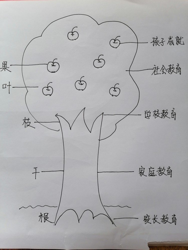 家庭教育树状图