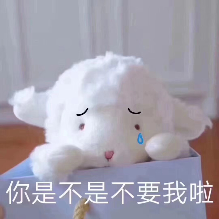 淳朴绵羊表情包:小小的眼睛里有大大的疑惑