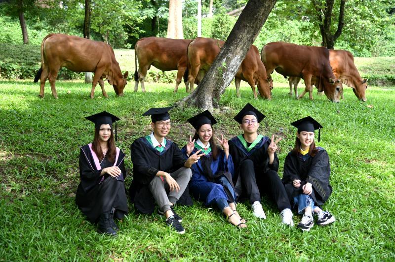 "隔屏不隔爱"!大学生"云聚"毕业典礼说再见