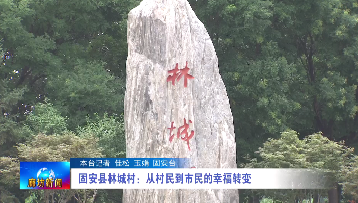 【走向我们的小康生活】固安县林城村:从村民到市民的