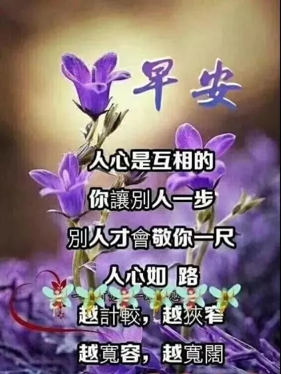 适合大清早发的朋友圈最能打动人心的早安问候