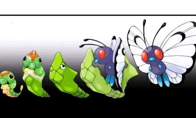 精灵宝可梦:宝可梦全进化形态,绿毛虫破茧成蝶,皮卡丘
