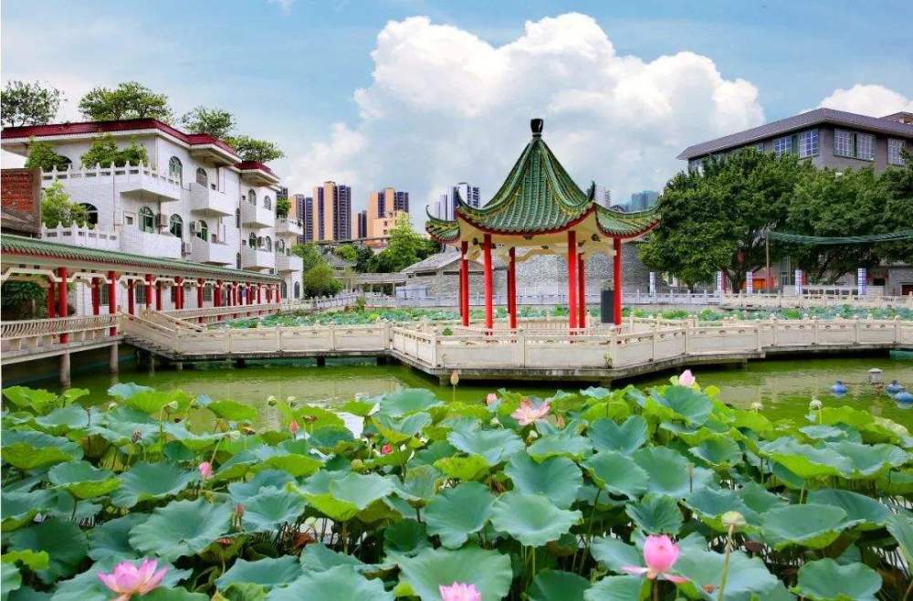 佛山:五个区"各不同",类似金华之于义乌,绍兴之于诸暨