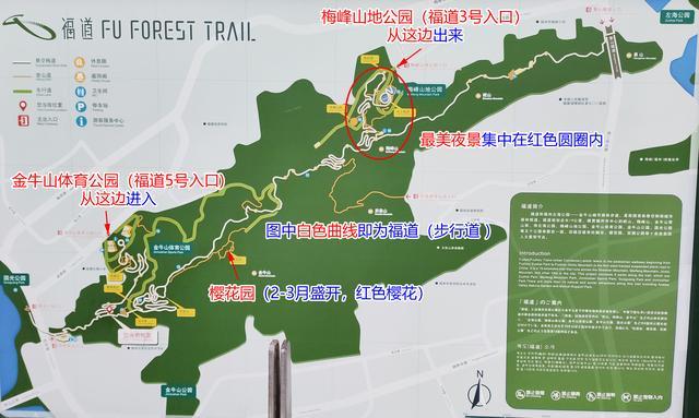 福道-福到,令人惊艳的森林步道,串起了福州最美的风景