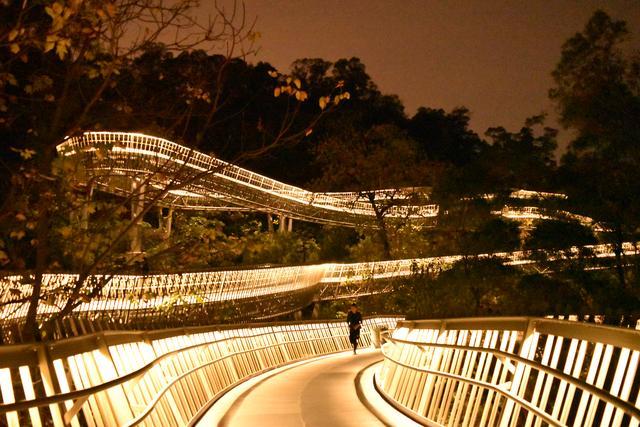 福道-福到,令人惊艳的森林步道,串起了福州最美的风景