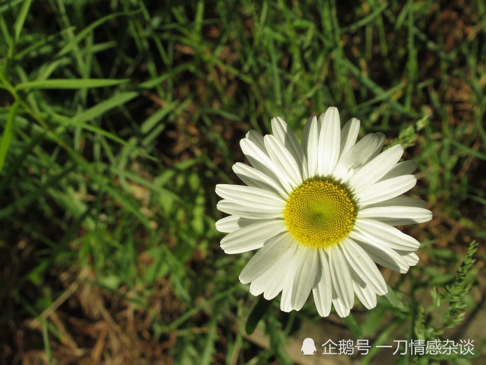 人生苦短,唯有顺其自然,才能过得舒服自在!