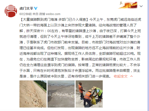 震惊！东莞海滩惊现大量猪蹄，或超过20吨，多部门已介入调查