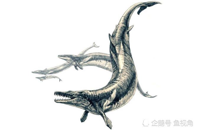 恐龙灭绝后第一代海洋霸主体长18米又细又长将鲨鱼当小菜