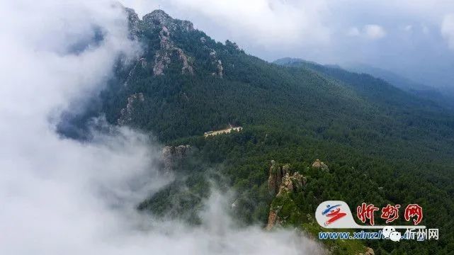 山西宁武:芦芽山马伦草原夏日风景秀丽,凉爽又宜人