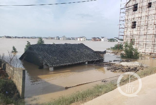 江西鄱阳问桂道圩堤决口120米,洪水淹没村庄,村民划船