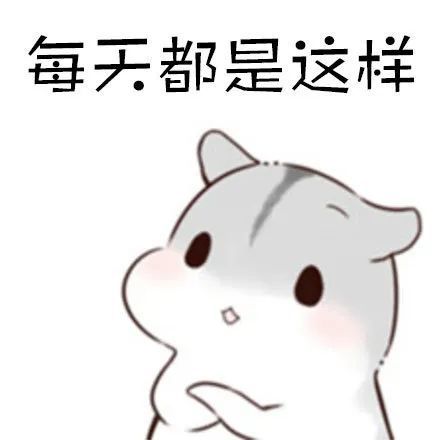 表情包:没错,就是这样,睡觉前必须上个厕所!