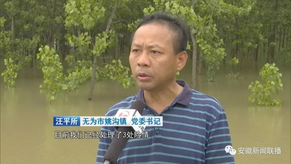 安徽新闻联播聚焦无为市防汛工作