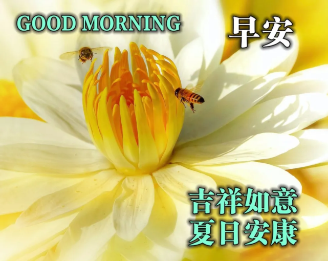 早上好表情动态图片带字