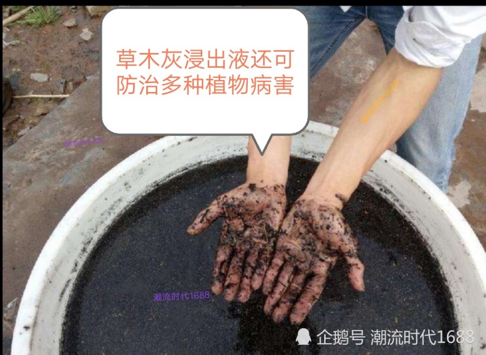 草木灰不但可以当肥用,用它能帮助农民们节省不少钱呢!