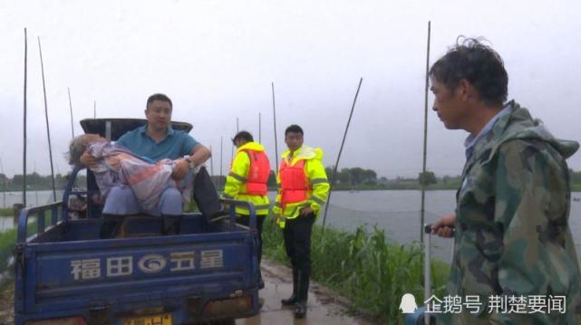 沙洋县有多少人口