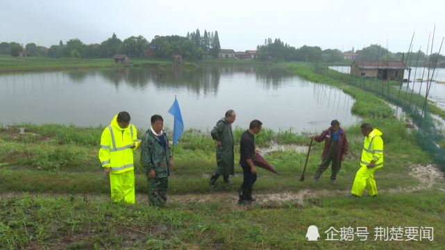 沙洋县有多少人口