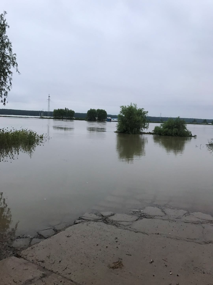 沭阳连夜暴雨,沂河淌水位暴涨!