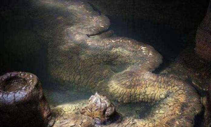 湖南发现一条"真龙",十三米长,上亿岁,村民:会"吞云吐